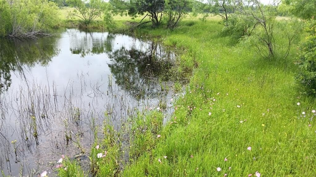 20 acres in Falls County - photo 2