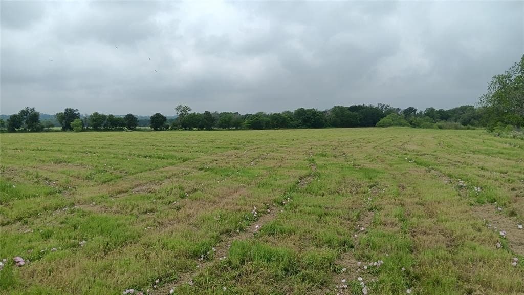 20 acres in Falls County - photo 4