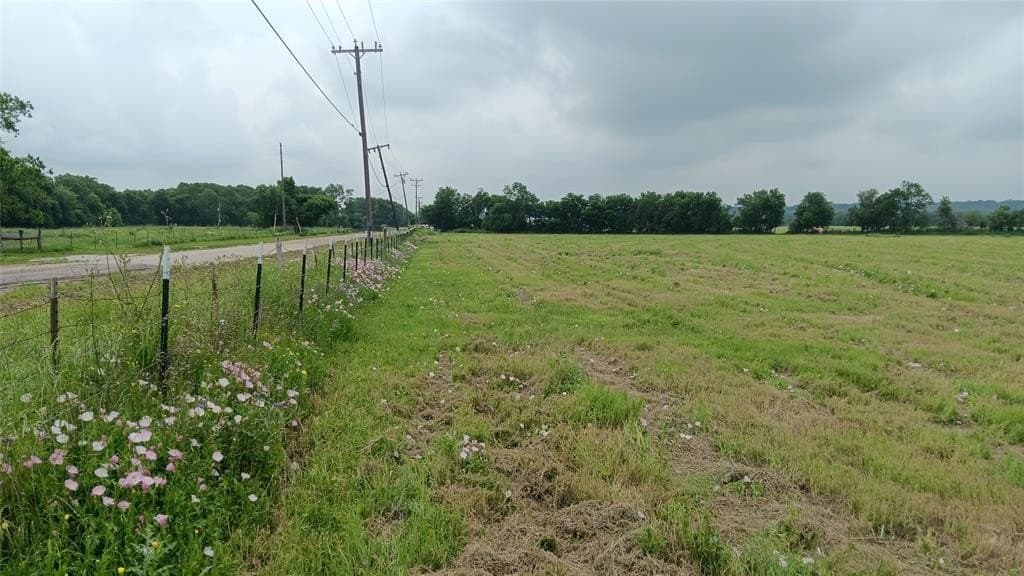 20 acres in Falls County - photo 6