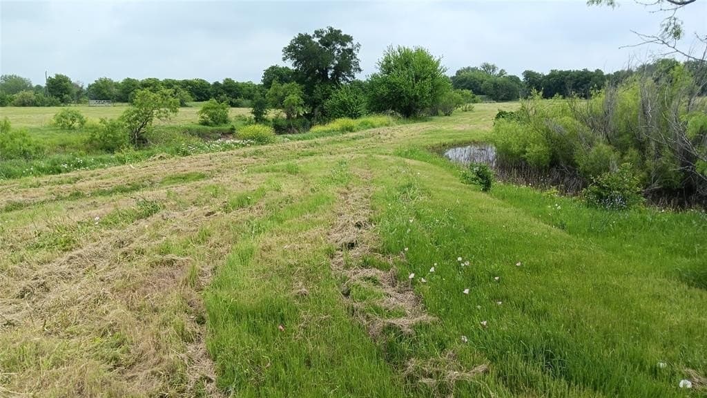 20 acres in Falls County - photo 3