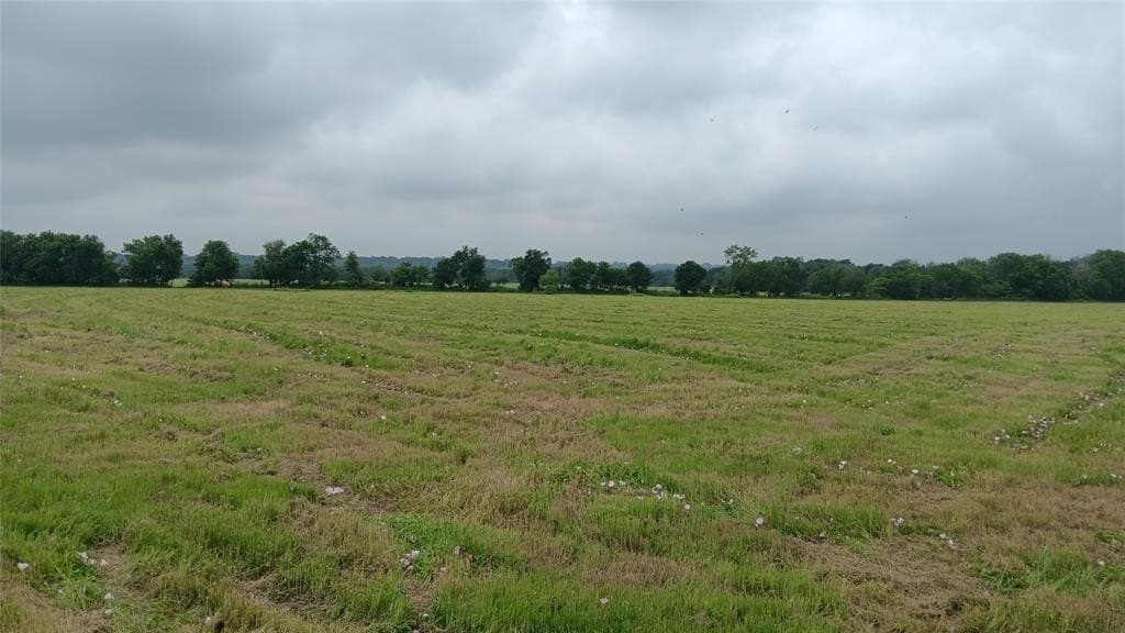 20 acres in Falls County - photo 7
