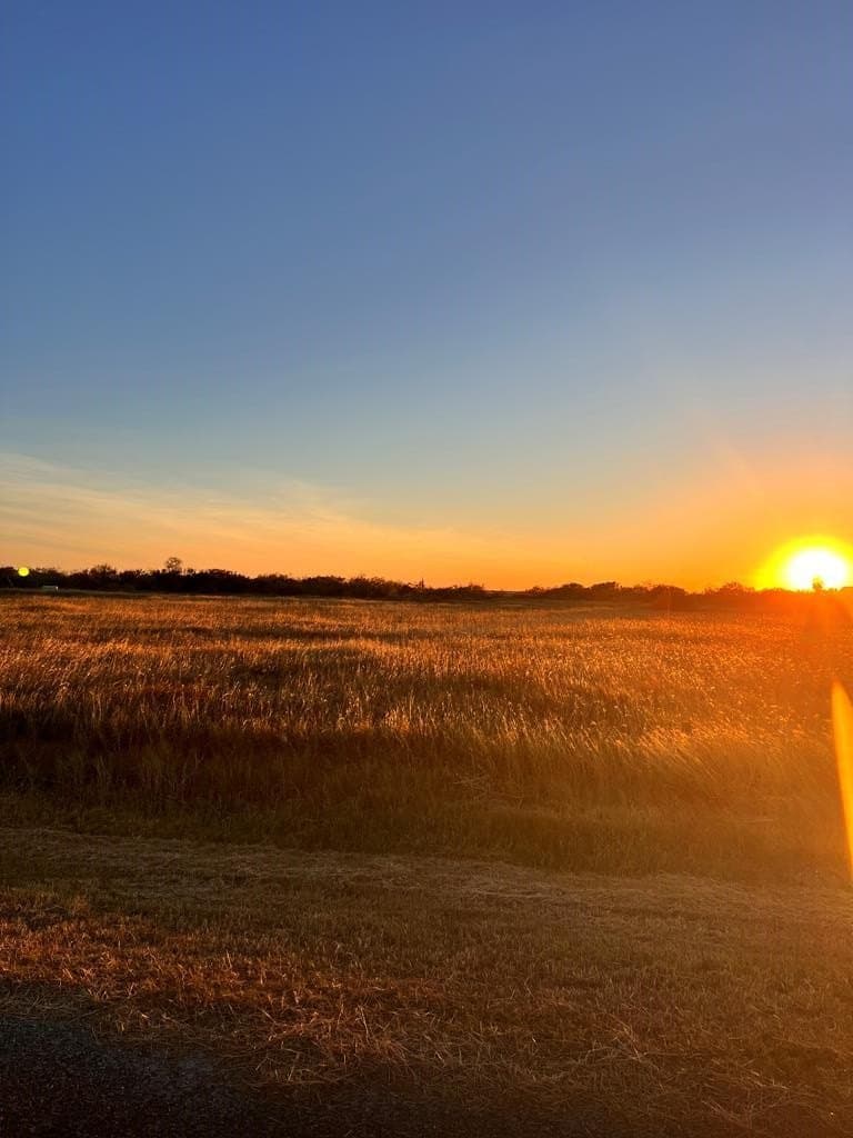 0 acres in Texas County - photo 23