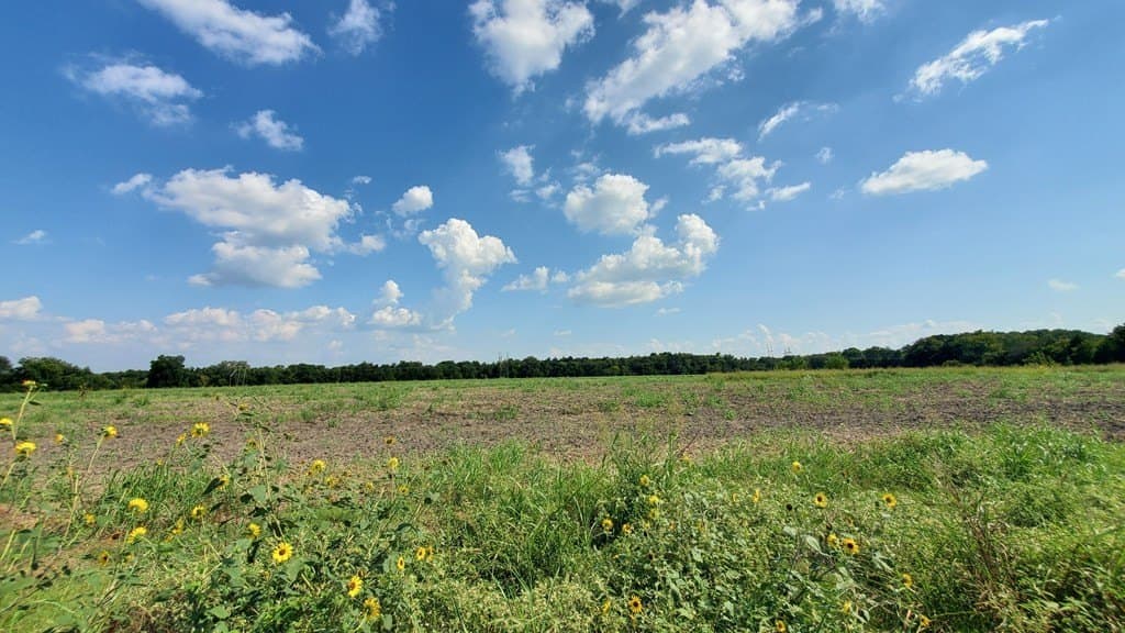 23.79 acres in Navarro County - photo 16