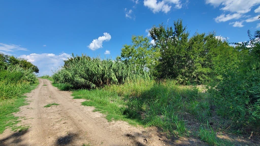 23.79 acres in Navarro County - photo 21