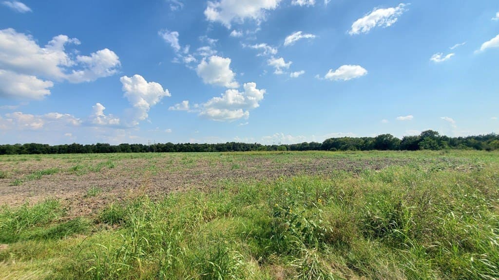 23.79 acres in Navarro County - photo 12