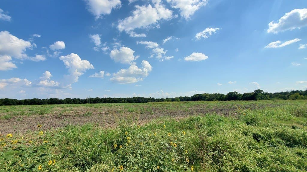 23.79 acres in Navarro County - photo 15