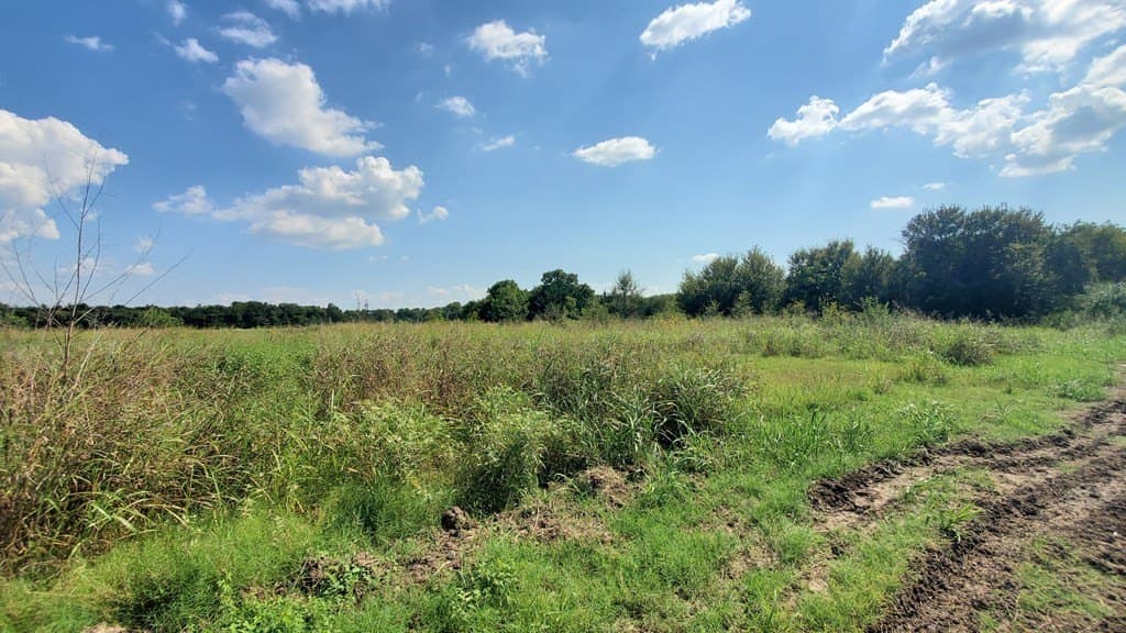 23.79 acres in Navarro County - photo 4