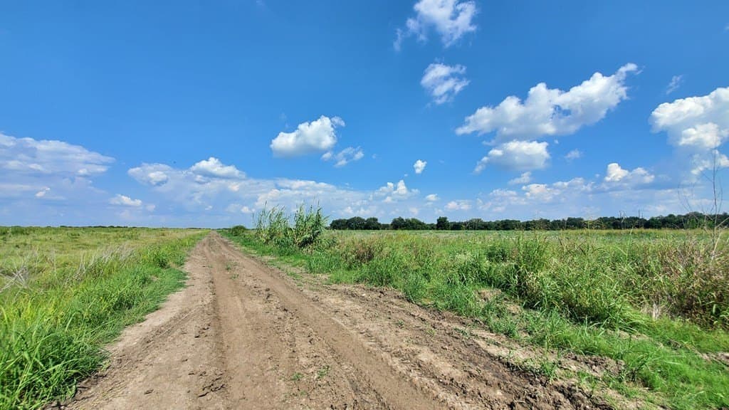 23.79 acres in Navarro County - photo 2