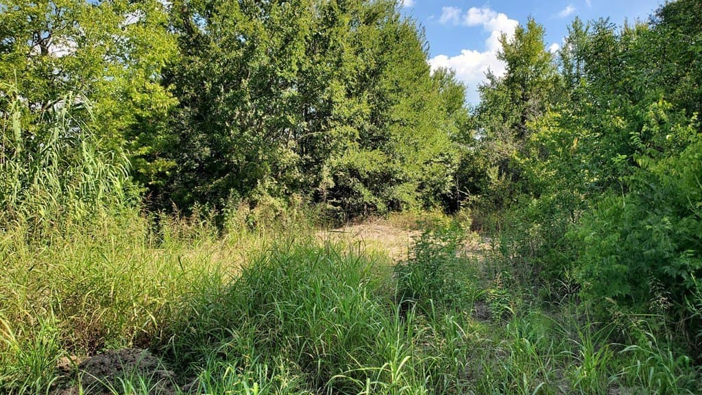 23.79 acres in Navarro County - photo 23