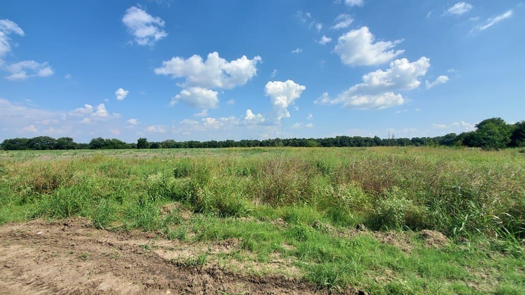 23.79 acres in Navarro County - photo 3