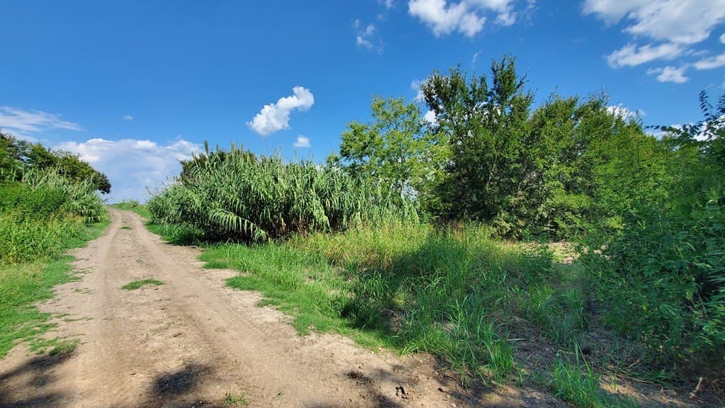 23.79 acres in Navarro County - photo 20