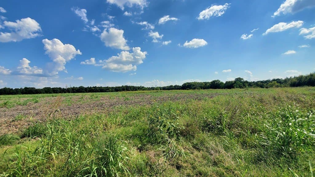 23.79 acres in Navarro County - photo 10