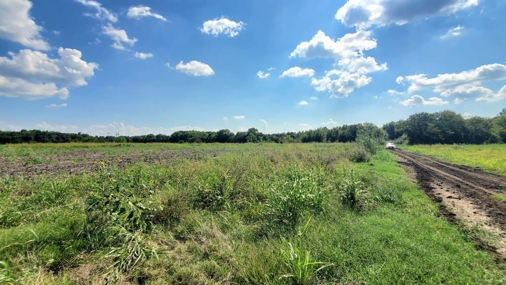 23.79 acres in Navarro County - photo 11