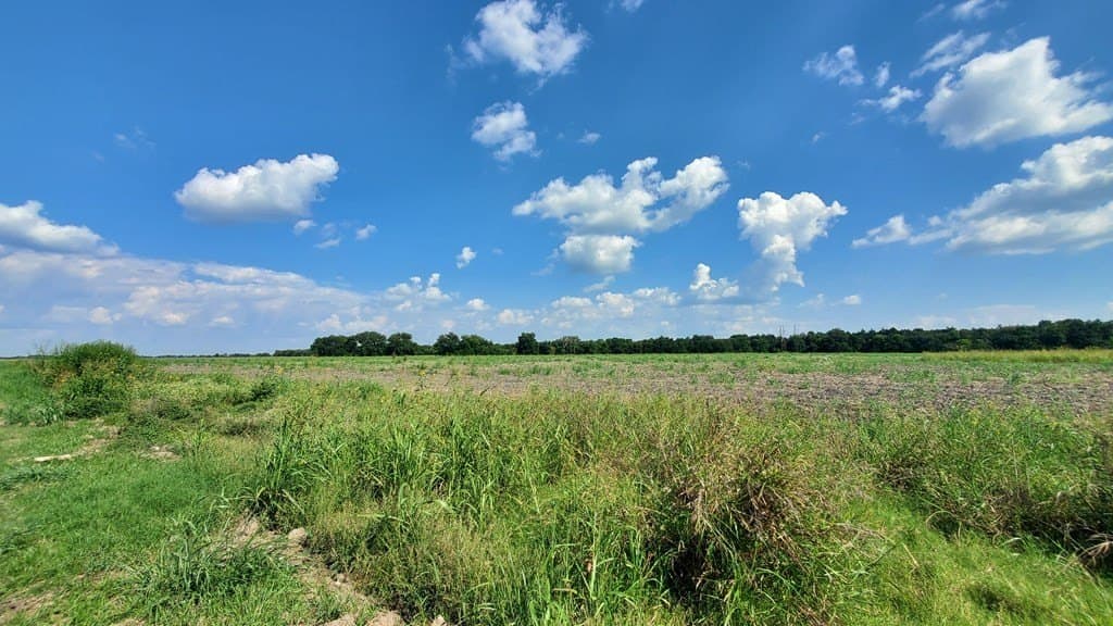 23.79 acres in Navarro County - photo 7