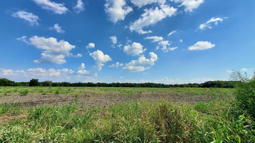 23.79 acres in Navarro County - photo 17