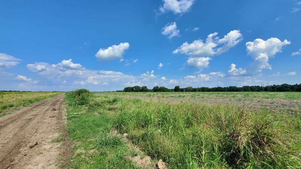 23.79 acres in Navarro County - photo 8