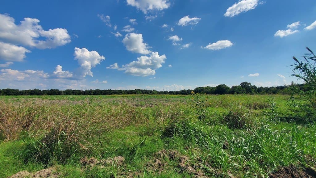 23.79 acres in Navarro County - photo 6