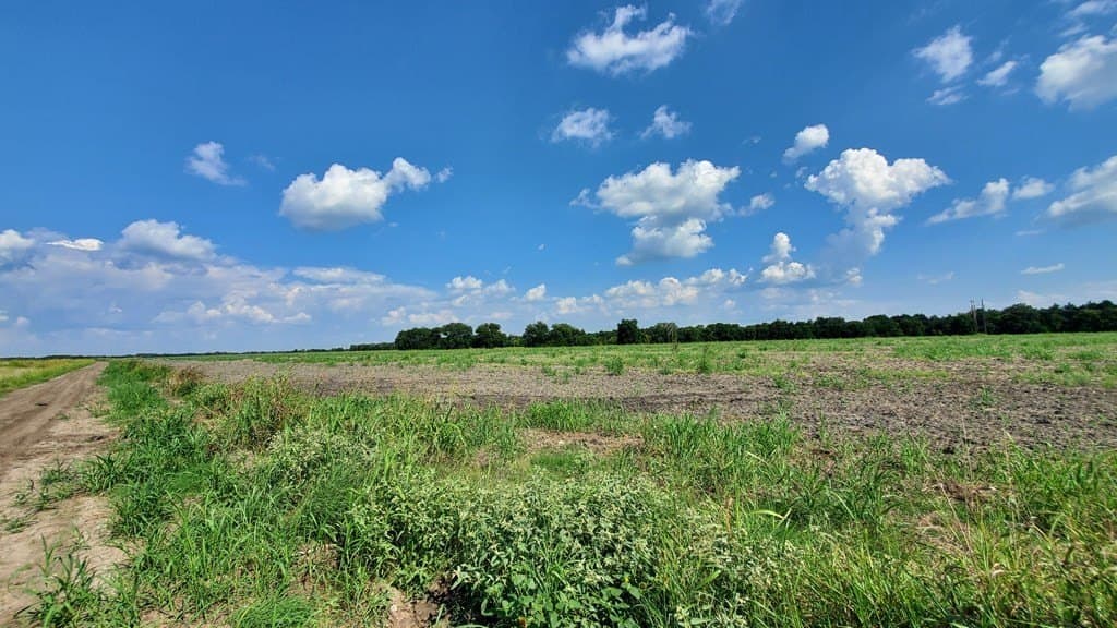 23.79 acres in Navarro County - photo 19