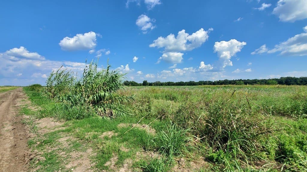 23.79 acres in Navarro County - photo 5