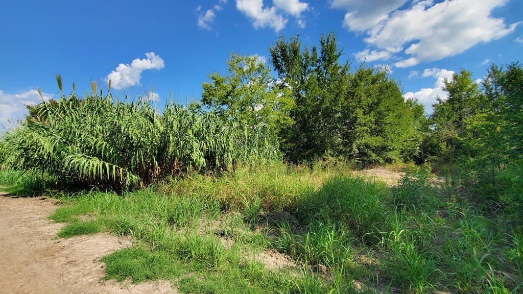 23.79 acres in Navarro County - photo 25