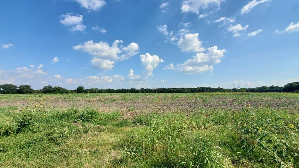 23.79 acres in Navarro County - photo 9