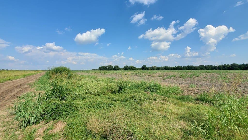 23.79 acres in Navarro County - photo 14