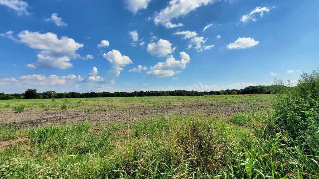 23.79 acres in Navarro County - photo 18