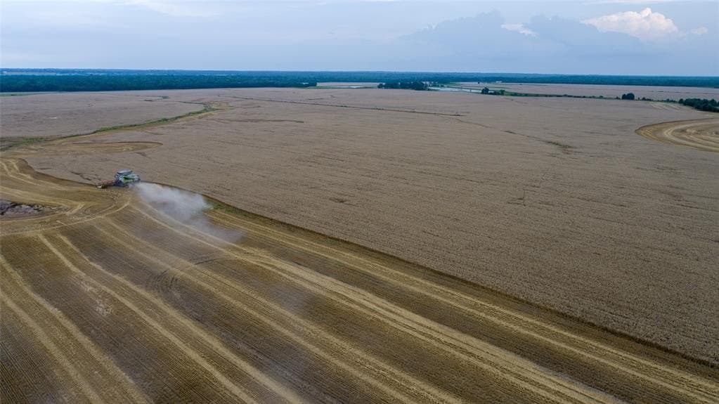 2,523 acres in Red River County - photo 4