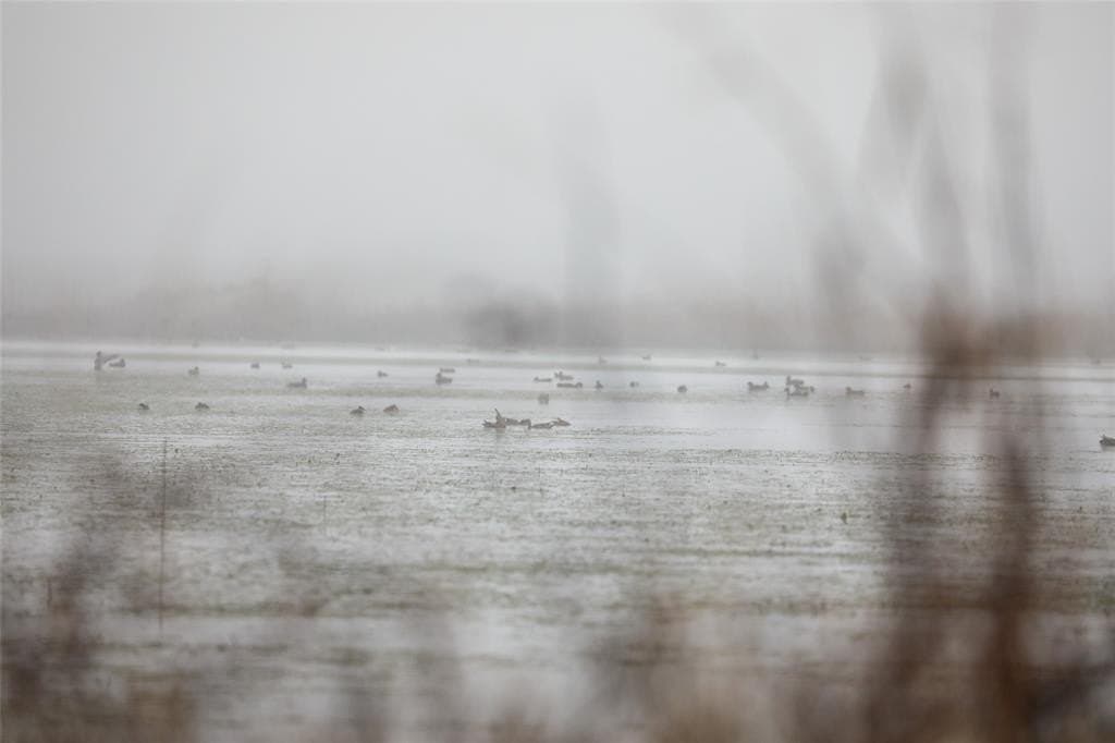 2,523 acres in Red River County - photo 10