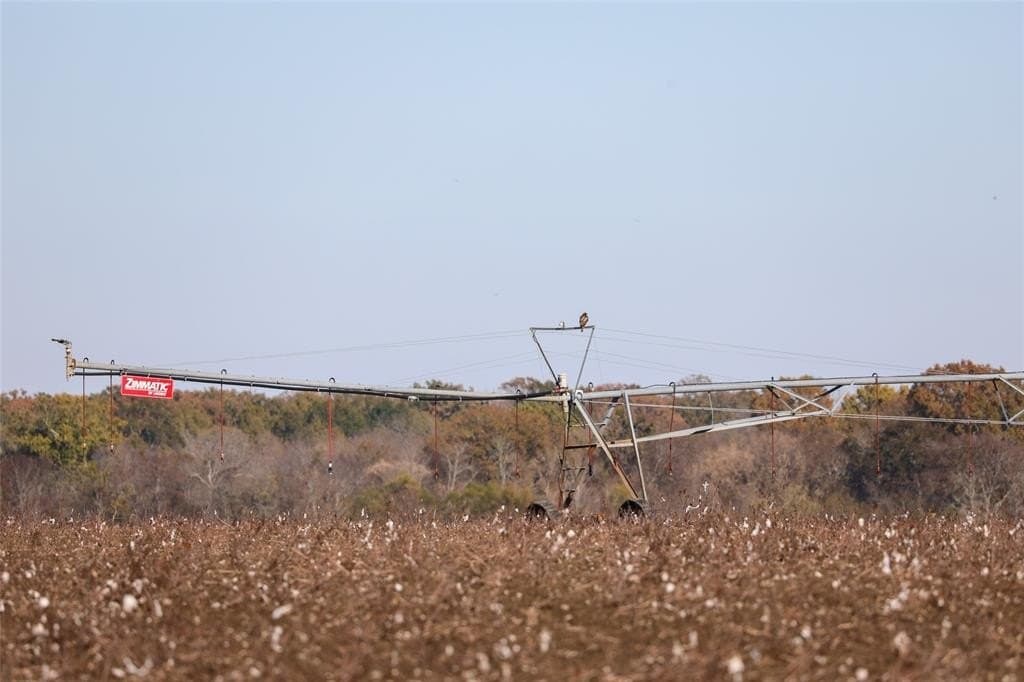 2,523 acres in Red River County - photo 6