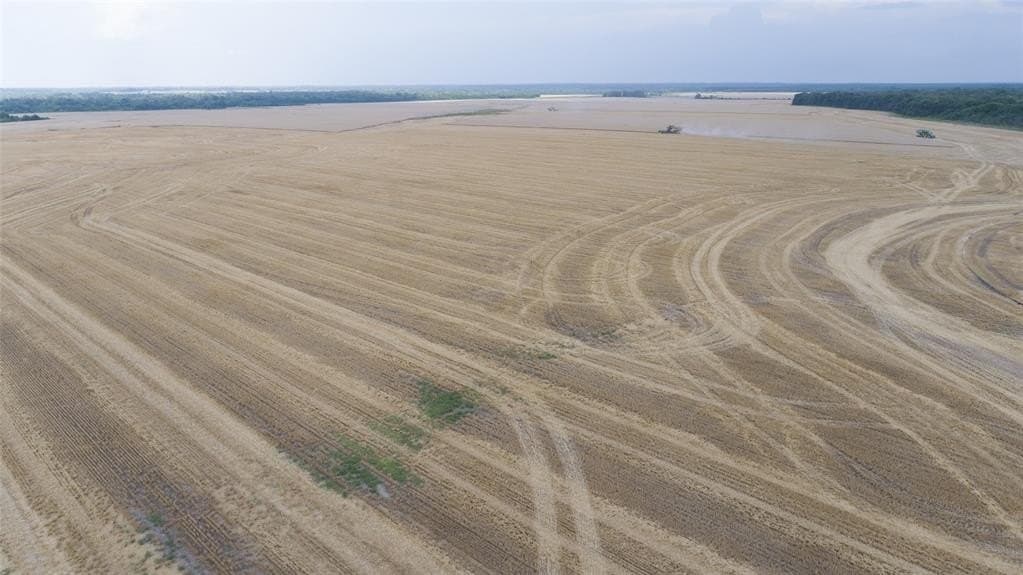 2,523 acres in Red River County - photo 22