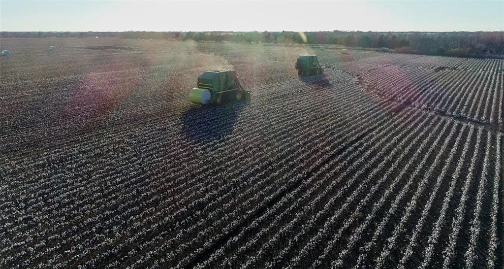 2,523 acres in Red River County - photo 14