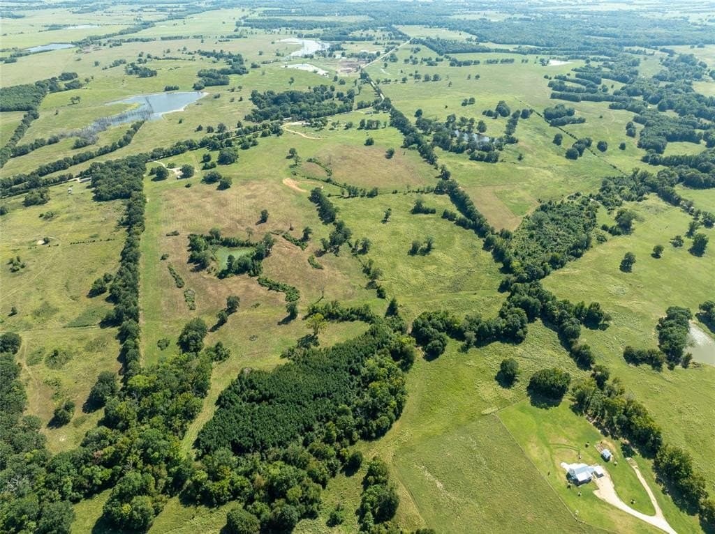 125 acres in Red River County - photo 11