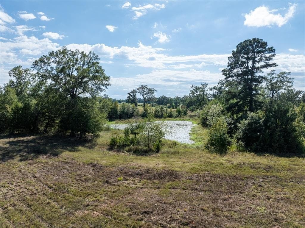 125 acres in Red River County - photo 2