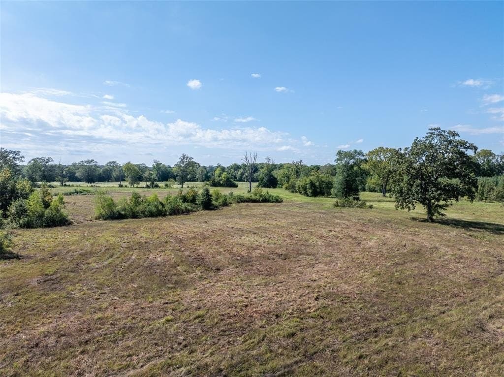 125 acres in Red River County - photo 3