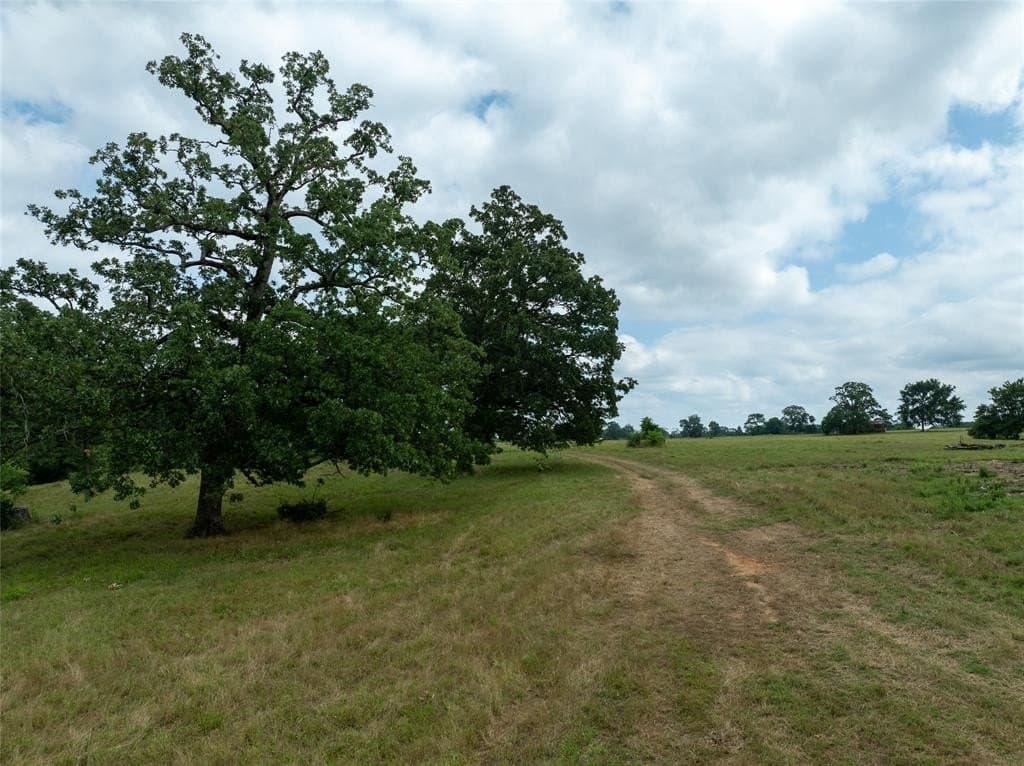 125 acres in Red River County - photo 20
