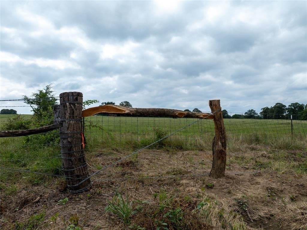 125 acres in Red River County - photo 21