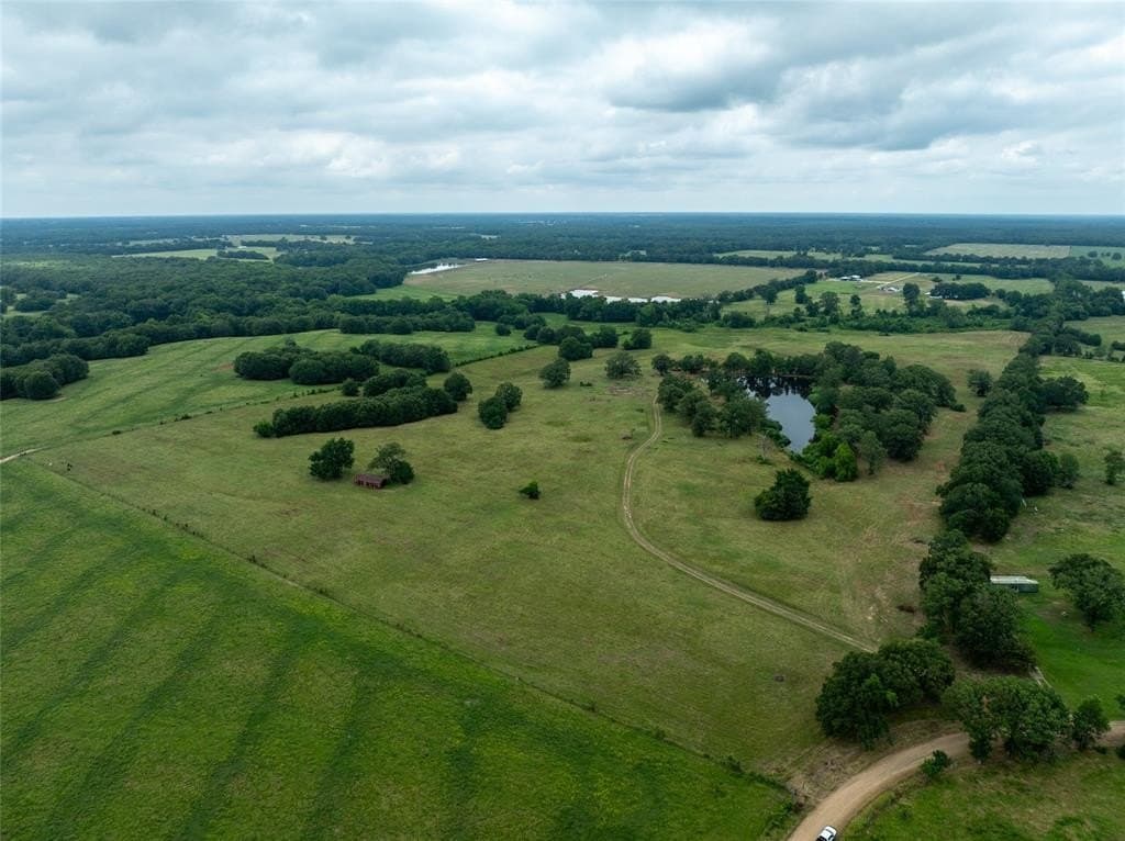 125 acres in Red River County - photo 19
