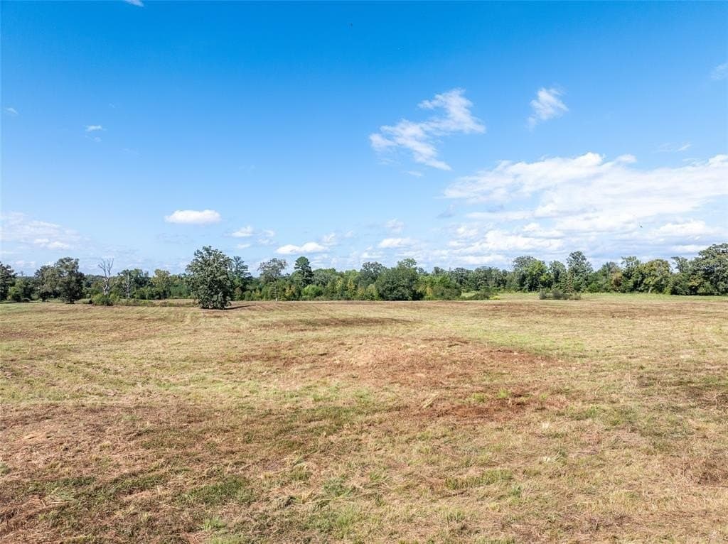 125 acres in Red River County - photo 6