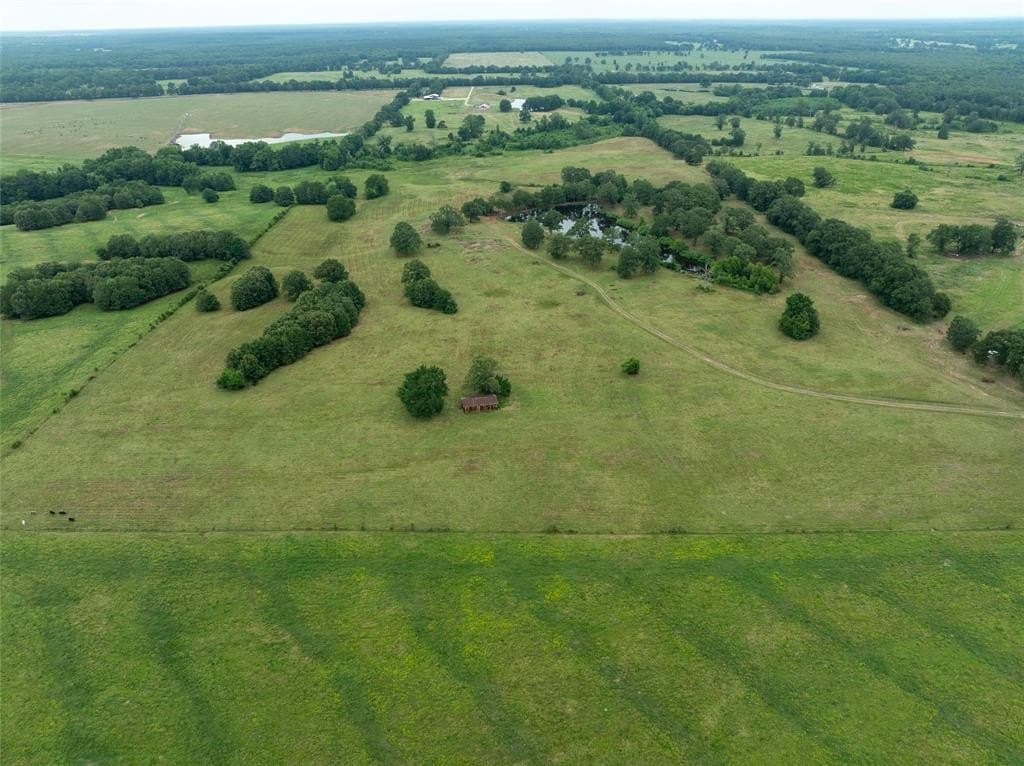 125 acres in Red River County - photo 24