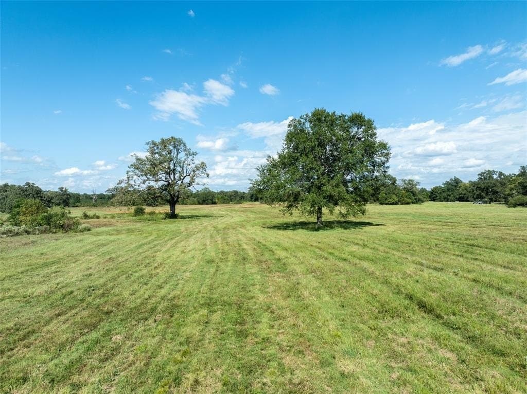 125 acres in Red River County - photo 10