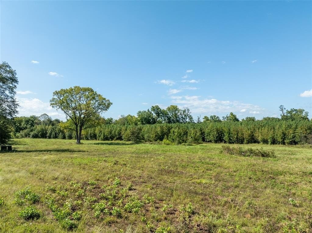 125 acres in Red River County - photo 4