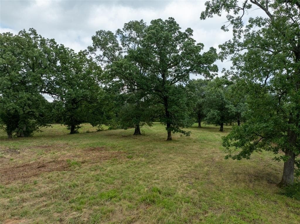 125 acres in Red River County - photo 22