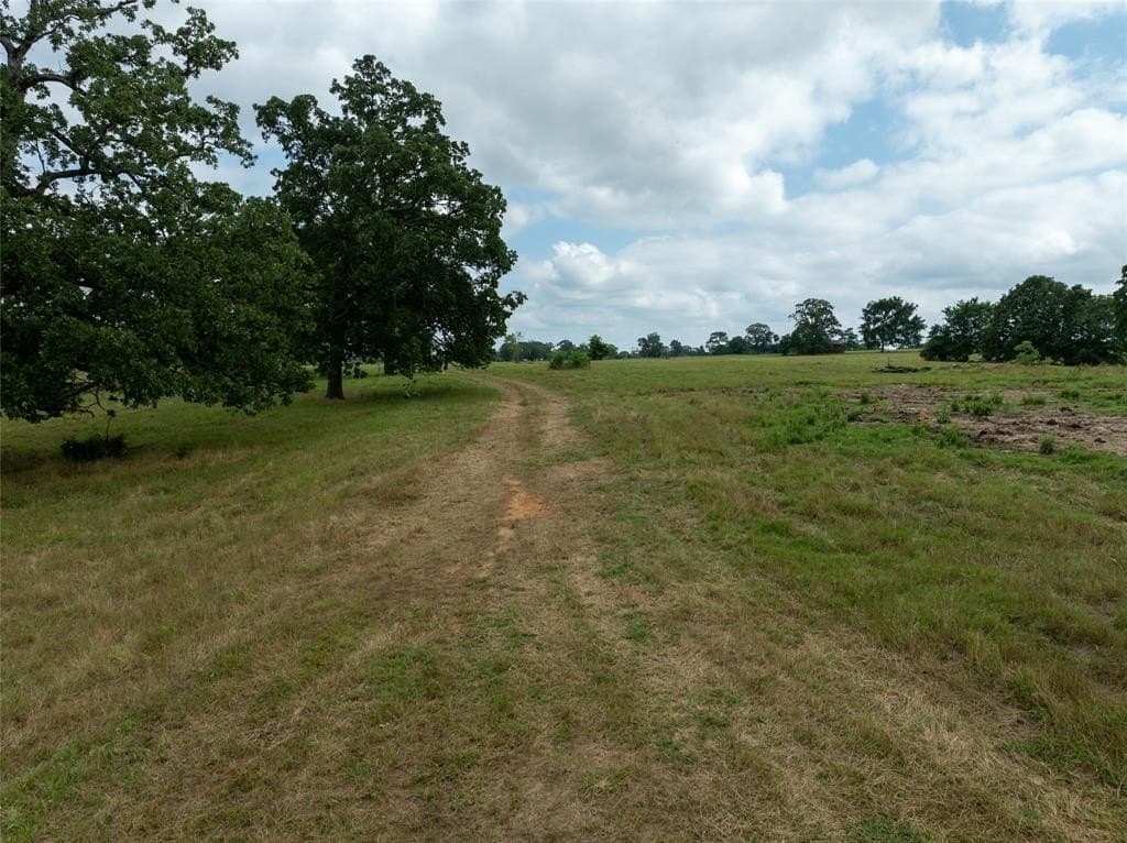 125 acres in Red River County - photo 23
