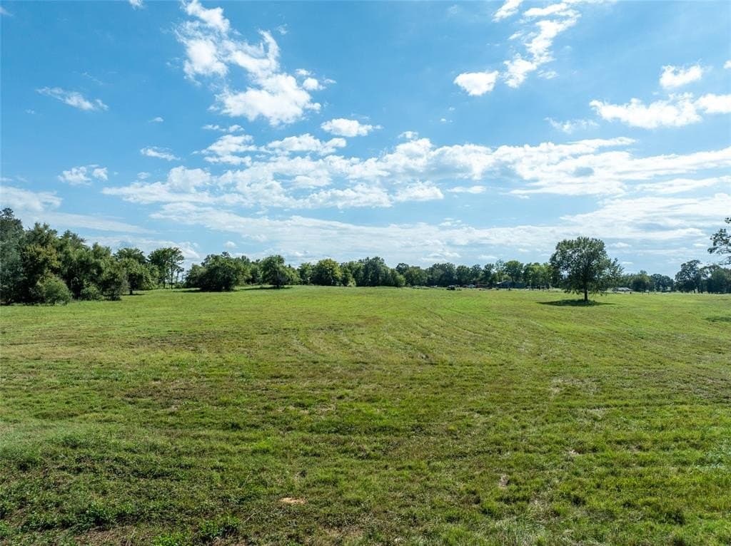 125 acres in Red River County - photo 5