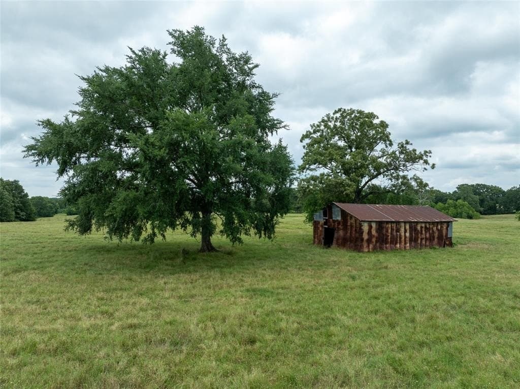 125 acres in Red River County - photo 13