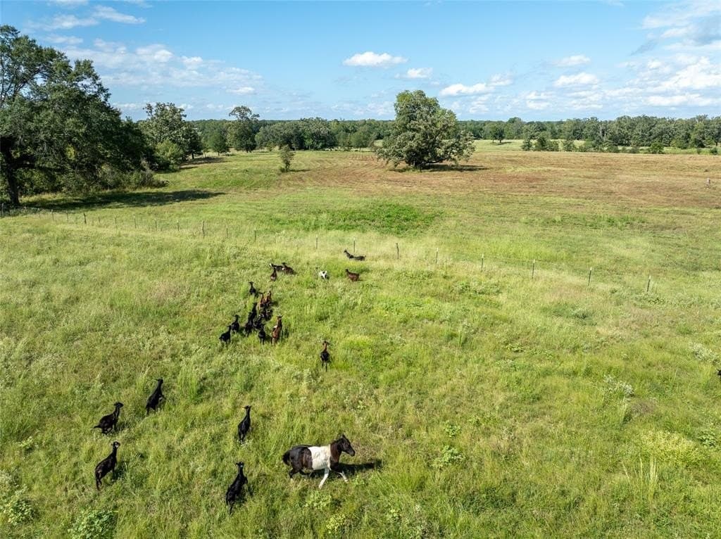 125 acres in Red River County - photo 7