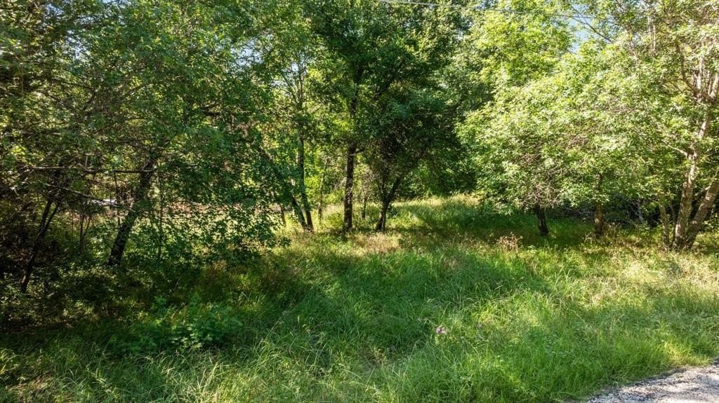 0.19 acres in Hood County - photo 3