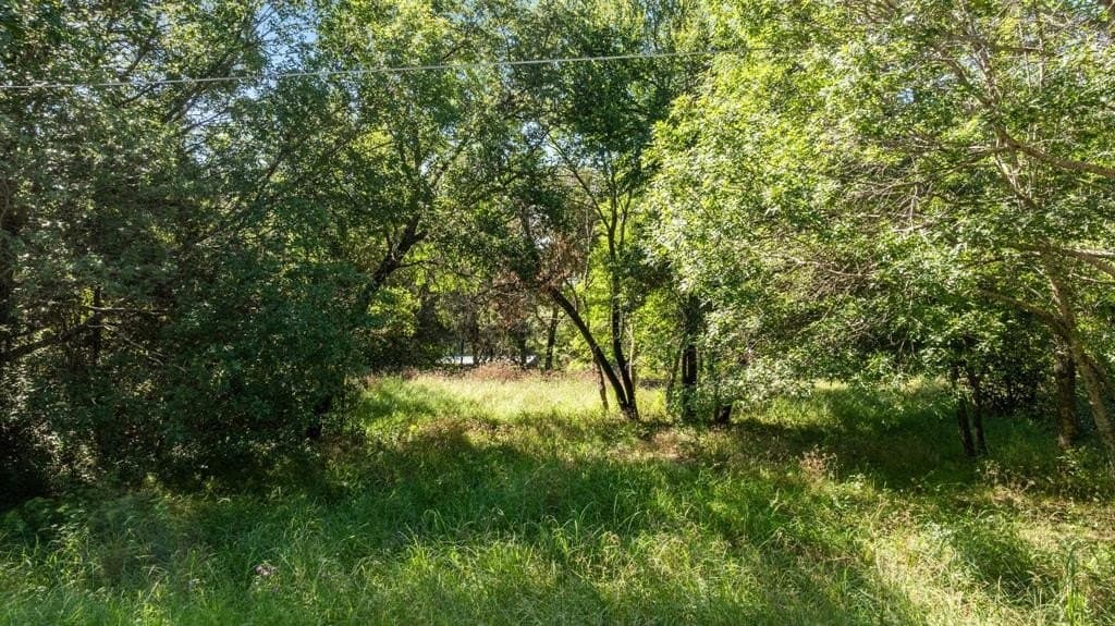 0.19 acres in Hood County - photo 4