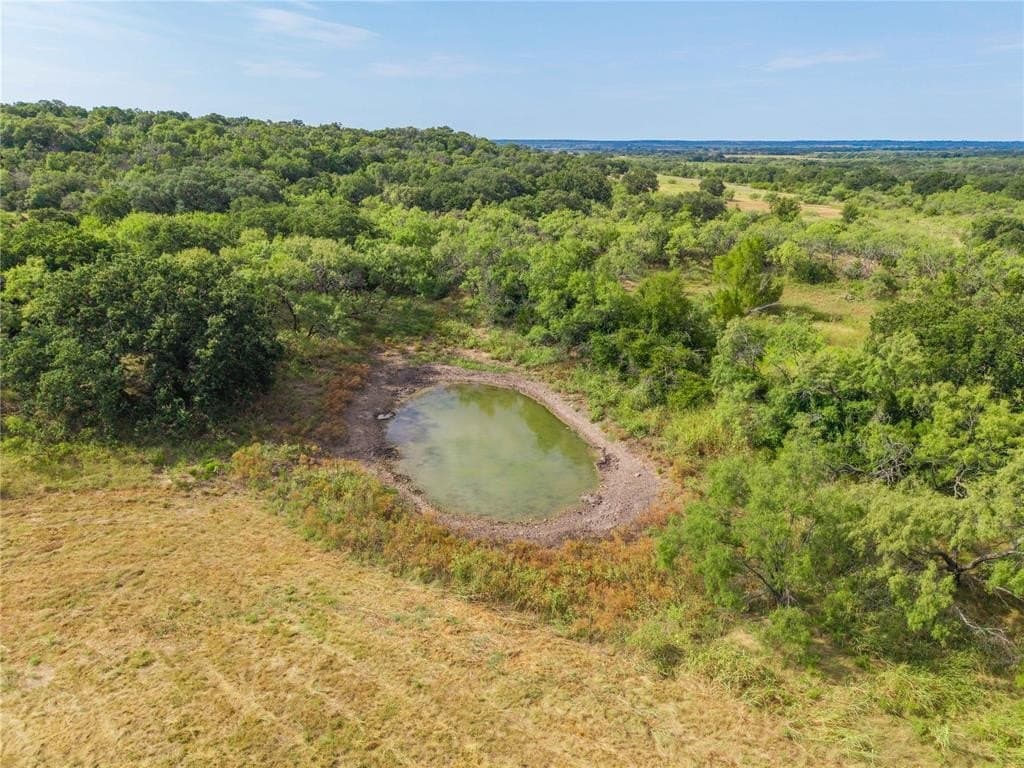 288.8 acres in Coleman County - photo 5